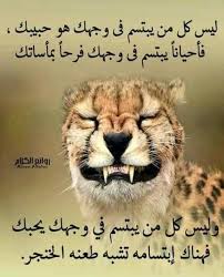 pin by صل على النبي on صباحات ومسائات in 2021 lion animals