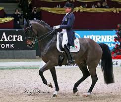 Stephan dorothee schneider hinter der stephanskirche 2 55234 framersheim germany. Dorothee Schneider And Showtime Frh At The Salzburg World Cup Competition C 2016 Lily Forado For Dressage News Com World Cup Dressage Showtime