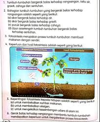 Berikut merupakan buku teks tahun 4 kssr semakan. Sk Telok Bahang Sains Tahun 4 Salin Nota Dari Buku Teks Facebook