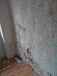 Check spelling or type a new query. Isolation Traitement D Un Mur Ayant Ete Humide 11 Messages