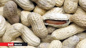 Всем известно, что француженки готовы со всеми переспать! Il Fait Griller Ses Pistaches La Fumee De Bois Irrite Les Voisins Defimedia