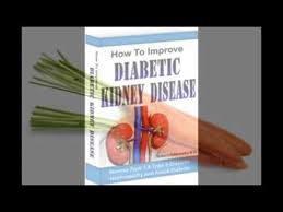 Diet Chart For Diabetic Nephropathy Youtube