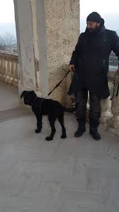 Non basta dimostrare le proprie competenze. Larecherche It Raccolta Poesia