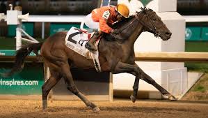 2024 Kentucky Derby Prospect Profiles: Honor Marie