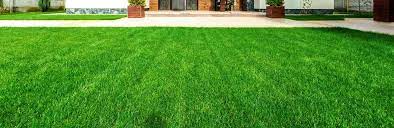 Use the tdee calculator to learn your total daily energy expenditure, a measure of how many calories you burn per day. How To Dress A Lawn With Topsoil Lovethegarden