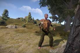Skins for weapons, armor, doors, etc. Online Game Rust Is Randomly Assigning Genders To Players The Verge