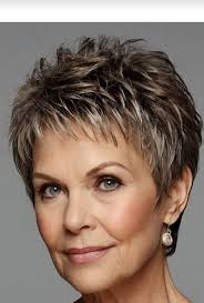 Nancy Hefley (njhefley1951)