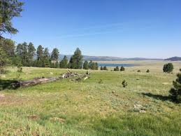 Rainbow campground is, like previously stated, the most expansive campground located on big lake, popular amongst large groups and family gatherings. Rainbow Campground Springerville Arizona Us Parkadvisor