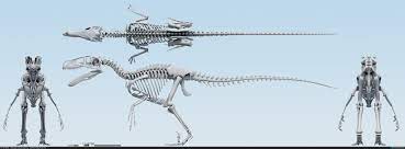 Utahraptor hunted in packs to bring down large prey, much like their dromaeosaur cousins deinonychus and velociraptor. Artstation Updated Utahraptor Skeleton Jordan Mullen