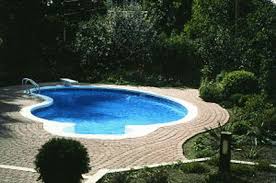 14 X 28 Kidney Inground Swimming Pool Kit With 42 Small Backyard Pools Swimming Pools Swimming Pools Backyard Inground