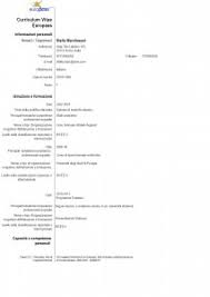 Curriculum formativo per neoassunti cosè e come realizzarlo. Esempio Curriculum Europeo Compilato Modello Curriculum