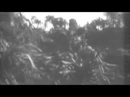 Bone marrow is also the repository for some leukemias and lymphomas (seth rolbein). Synonyms For Include 24 Free Positions Ù…Ø¹Ù†Ù‰ D Day At Okinawa Island 04 01 1945 Muted 720p Archive