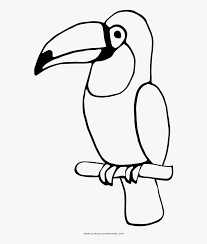 We found a picture of toucan to color. Toucan Coloring Page Colouring Page Of A Toucan Hd Png Download Kindpng
