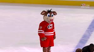 Find new carolina hurricanes apparel for every fan at majesticathletic.com! Mascot Finger Wag Stormy Gif Find On Gifer