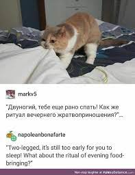 Pin On Adorable