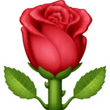 She was born in the ⛪ catholic albanian family in skopje. Red Rose Emoji Copy And Paste