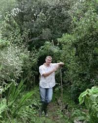How To Clear A Tall Overgrown Yard Ehow Overgrown Quick Garden Backyard Makeover