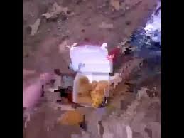 Find the newest chicken nuggets meme. Chickens Eating Chicken Nuggets Vine Coub The Biggest Video Meme Platform