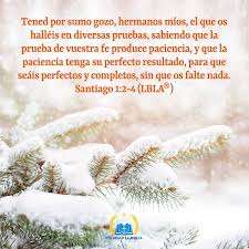 Evangelio De Hoy Santiago 1 2 4 Evangeliodehoy Estudiosbiblicos Imagenescristianas Imagenesbiblicas Tarje Evangelio De Hoy Frases De Inspiracion Evangelio