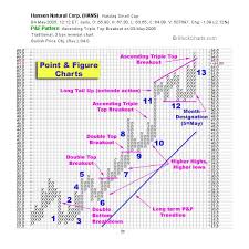 Stock Charts Point And Figure Jse Top 40 Share Price