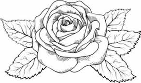 Imagenes de flores y rosas. Ramos De Rosas Grandes Rojas Novocom Top