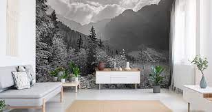 Ombre berglandschaft mit kiefer wald. Vlies Fototapete Xxl Tapete Berge Schwarz Weiss Natur 9534 Ebay