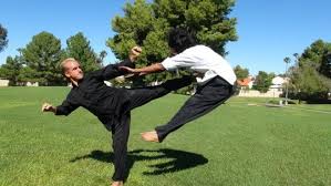 Shaolin Martial Arts Training With Jake Mace Tai Chi Combat Dvd