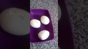 Kediler Icin Yumurta Youtube