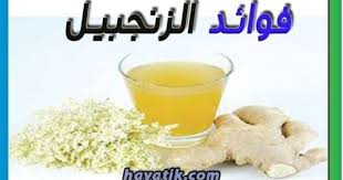 فوائد الزنجبيل المذهلة فوائد الزنجبيل للشعر ماهي فوائد الزنجبيل الزنجبيل للتخسيس Food Animals Dog Food Recipes Food