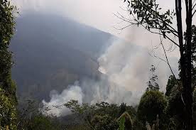 Maybe you would like to learn more about one of. Lahan Di Gunung Ciremai Terbakar 100 Hektare
