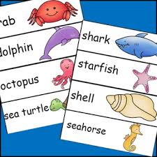 Ocean Animals Pocket Chart Cards And Writing Activities
