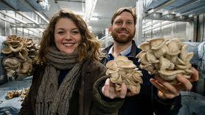 Deux sessions d'ateliers pour apprendre à faire pousser des pleurotes sur du marc de café. Quand Le Marc De Cafe Sert A Faire Pousser Des Champignons Maison