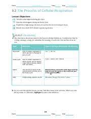 Create your own custom short answer printables with this short answer worksheet generator. Complete The Flowchart About Electron Transport Use The Terms In The Box 132 Course Hero