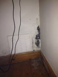 Mold testing can help identify a mold infestation in your home or business. Apartment Mold Landlord And Tenant Responsibility