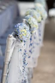 Kết quả hình ảnh cho cẩm tú cầu nhiều màu