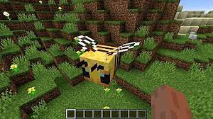 Preorders are now livefor all of the new surface devicesfor fall 2021 we may earn a com. The Top 20 Minecraft 1 15 Seeds For October 2019 Minecraft