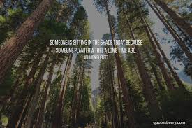 Warren Buffett Someone Is Sitting In The Shade Today Because Someone