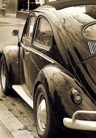 Pin By Domingo On Beetle Volkswagen Beetle Vw Beetles Beetle Car