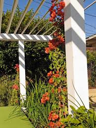 For residence or commercial use—we have it all! Make Shade Canopies Pergolas Gazebos And More Hgtv