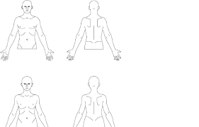 We will draw with this stickman in this step. The Template Of Male And Female Body Charts Frontal And Dorsal In The Download Scientific Diagram