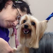 Our grooming salon is open monday through saturday. Grooming Services Dog Grooming Pet Grooming Groomers Greensboro