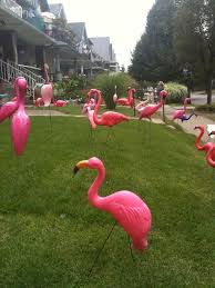 Flamingos On Parade At The Buffalo Garden Walk City Garden Flamingo Flamingo Art