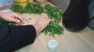 Comment Faire Secher Et Conserver Le Persil Cuisine Maliya Youtube