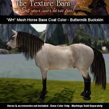 Buckskins can vary in shade from very pale buttermilk through a very sooty, dark brown color. Second Life Marketplace The Texture Barn Buttermilk Buckskin Dunskin For The Wh Water Horse Mesh Horse Avatar