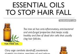 List Of Essential Oils To Stop Hair Fall Tea Tree Oil Hair Oil Treatment Natural Hair Hair Mask For Dandruff