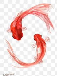 Koi Fish Images Koi Fish Transparent Png Free Download Choose from over a million free vectors, clipart graphics, vector art images, design templates, and illustrations created by artists worldwide! koi fish transparent png free download