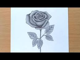 How To Draw A Rose Pencil Drawing And Shading Myhobbyclass Com In this video, i show how to draw a rose easy with a pencil. how to draw a rose pencil drawing