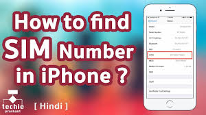Choose iccid or imei info to see your number listed. How To Find Iccid Or Sim Number From Iphone Hindi Youtube