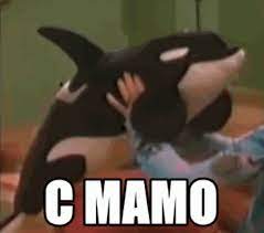Icarly Meme Gif Icarly Meme Plantilla Discover Share Gifs