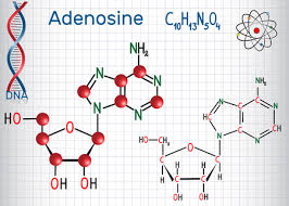 Check spelling or type a new query. Das Cyclische Adenosinmonophosphat Camp Molekul Ist Ein Derivat Von Adenosintriphosphat Atp Und Wird Fur Die Intrazellulare Signalubertragung Verwendet Chemische Strukturformel Und Molekulmodell Vektor Illustration Lizenzfrei Nutzbare